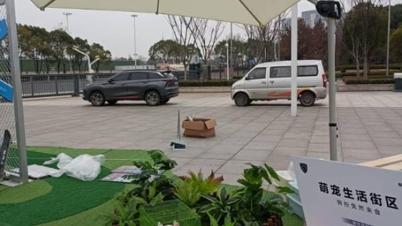 周年庆典场地布置：五大关键注意事项